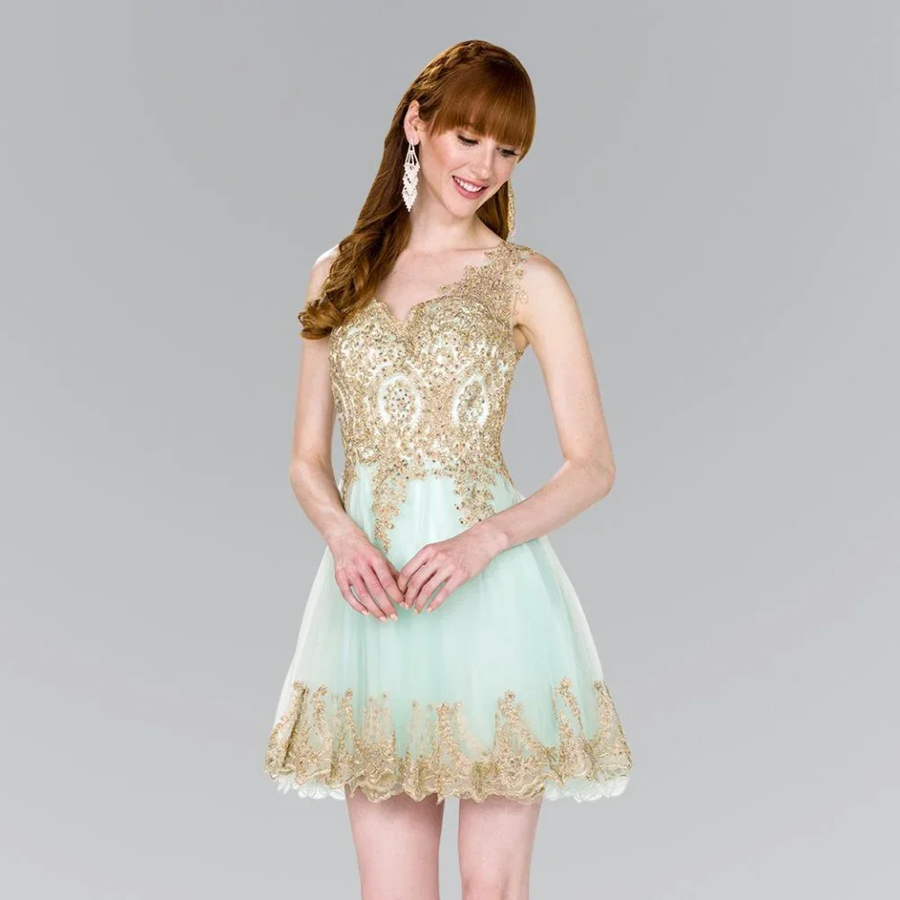 NEW SHORT SLEEVELESS BABY DOLL EMBROIDERED LACE DRESS WITH ZIPPER BACK GL GS2403
